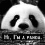 Nick_Belov