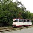 Alex_Evgeshanskiy