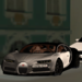 Jackson_Siberian