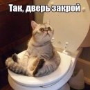 Artem_Grechukhin2