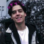 Cole_Averin