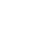 Mike Flores