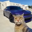 sawaaa