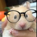 Denis_Kaspiy