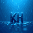 Kim Hidlleston