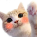 Artemiy_Extazzy
