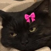 Nelly_Melenova