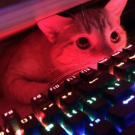 MtaKotik