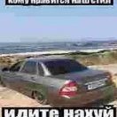 NFPKimura