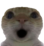 Vazik13