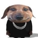 Timkayoxas