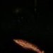 Illarion_Filimonov