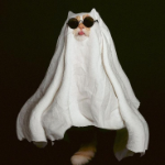 Jack_Willey