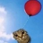 Mikhail_Leopardow