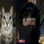 Rostislav_Chicken