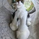 Vyacheslav_Plamenev