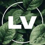 Lizard_Vilson