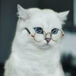 Evgenia_Soboleva