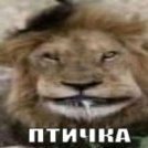 Isin_bassov