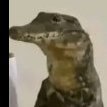 Salvador_Fernando