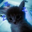 Dmitry_Chepikov